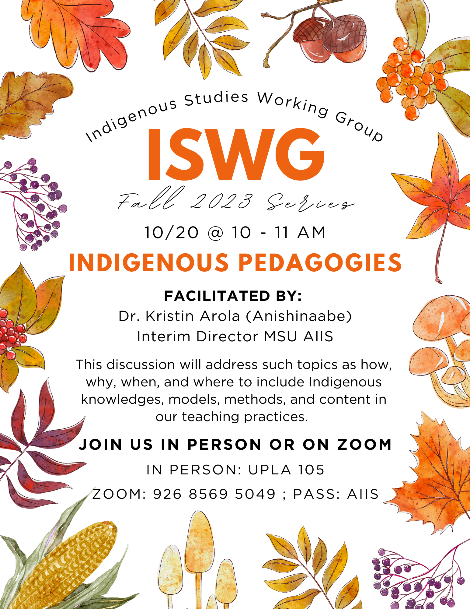 Read more about the article ISWG Indigenous Pedagogies